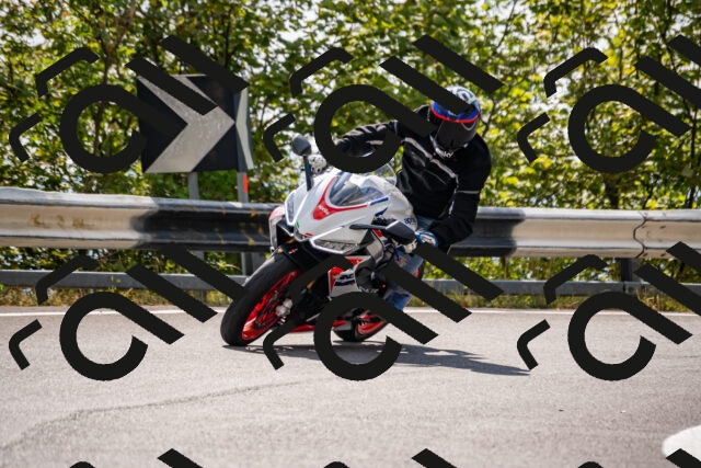 202508231550-_DSC6411_d2_