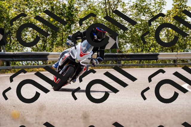 202508231550-_DSC6412_d2_