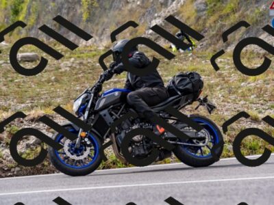 202508231555-_DSC6429_d2_