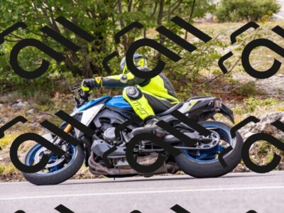 202508231555-_DSC6433_d2_