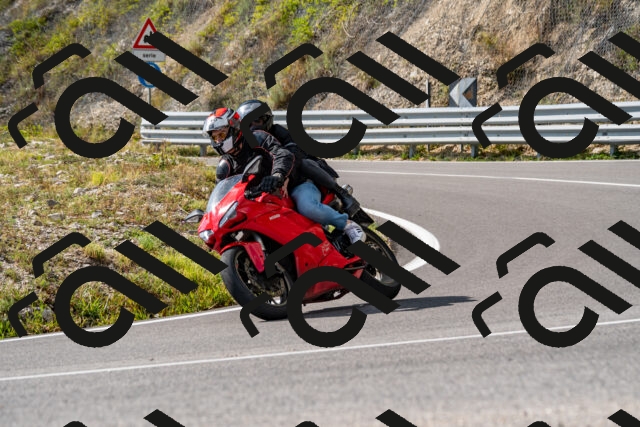 202508231608-_DSC6444_d2_