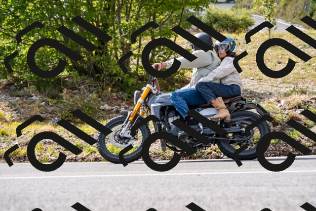 202508231612-_DSC6455_d2_