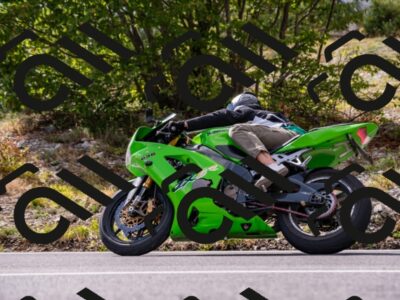 202508231624-_DSC6483_d2_