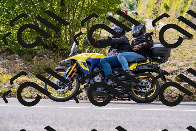 202508231627-_DSC6491_d2_