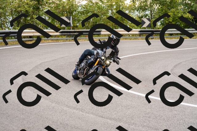 202508231641-_DSC6497_d2_