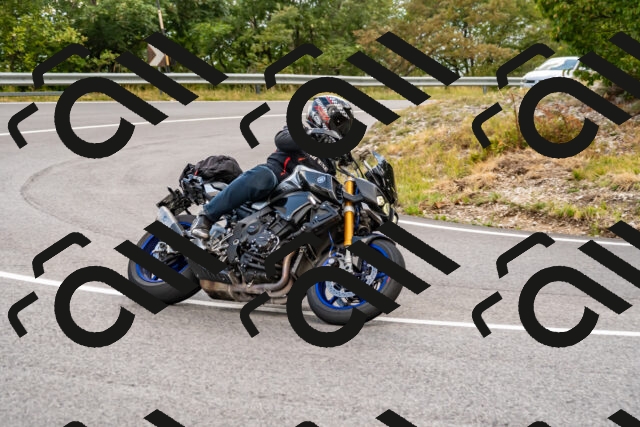 202508231641-_DSC6498_d2_