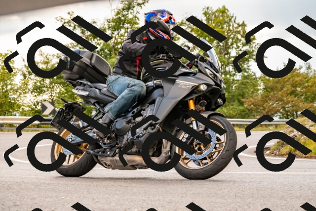 202508231642-_DSC6502_d2_