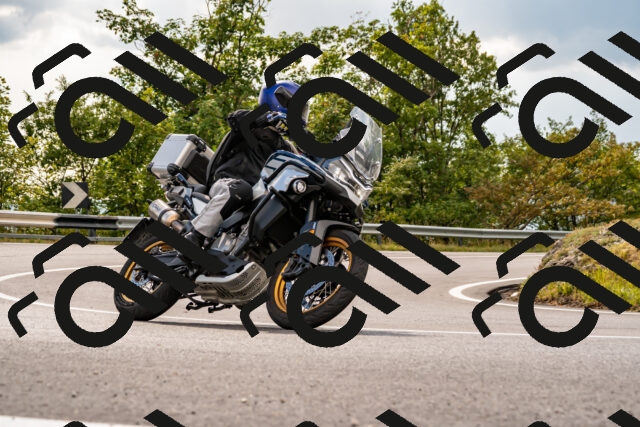 202508231642-_DSC6511_d2_