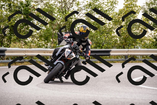 202508231643-_DSC6513_d2_