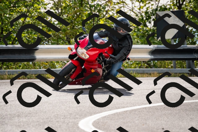 202508231645-_DSC6516_d2_