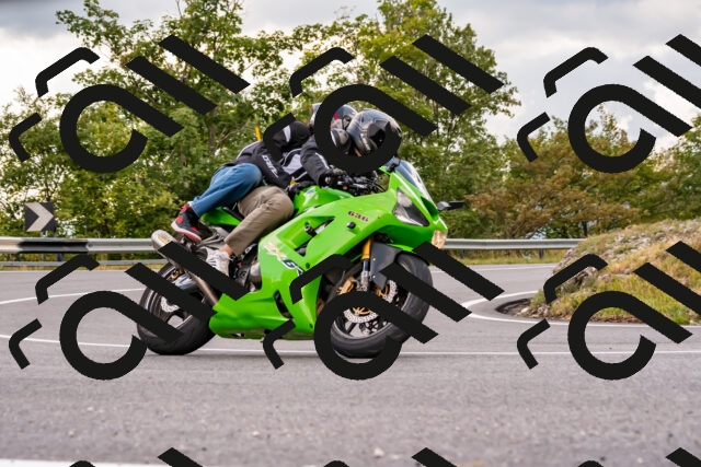 202508231648-_DSC6535_d2_