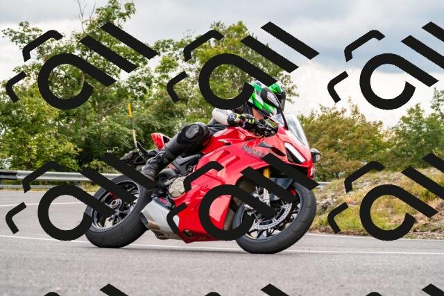 202508231653-_DSC6542_d2_