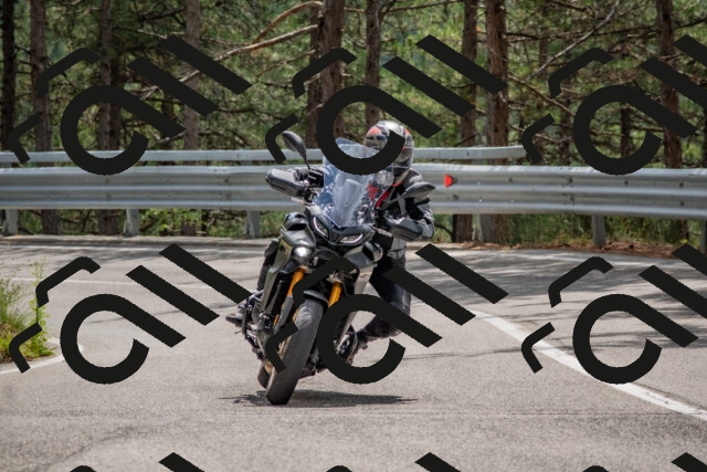 202508231302-DSC_6858_c4_