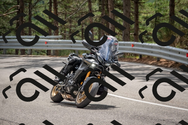 202508231302-DSC_6859_c4_