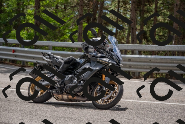 202508231302-DSC_6860_c4_