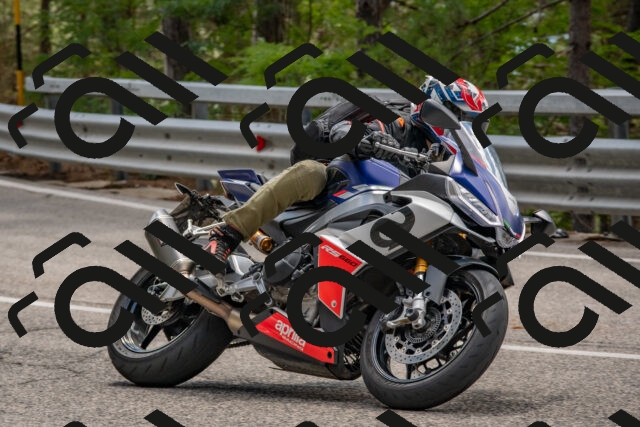 202508231305-DSC_6864_c4_