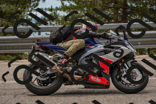 202508231305-DSC_6865_c4_