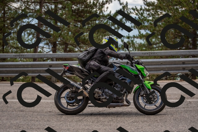 202508231305-DSC_6873_c4_