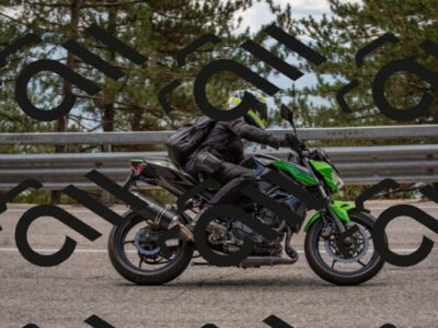 202508231305-DSC_6873_c4_