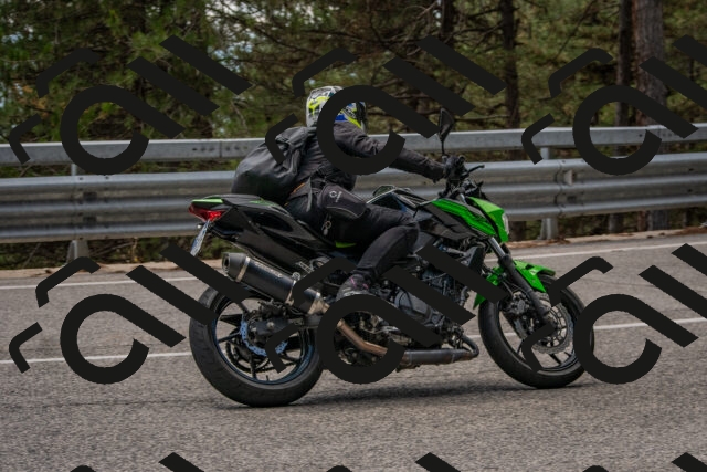 202508231305-DSC_6874_c4_