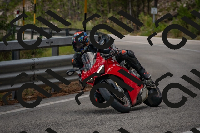 202508231305-DSC_6875_c4_