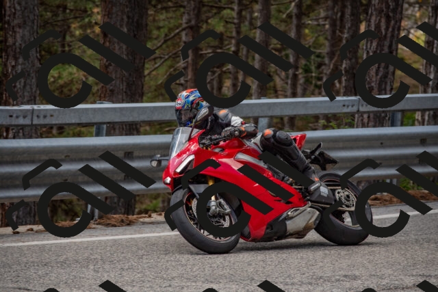 202508231305-DSC_6876_c4_