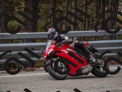 202508231305-DSC_6876_c4_