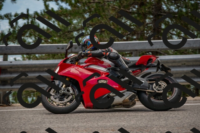 202508231305-DSC_6877_c4_