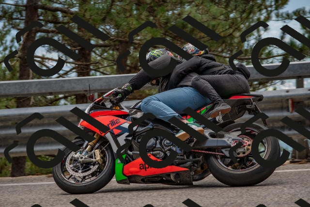 202508231306-DSC_6881_c4_