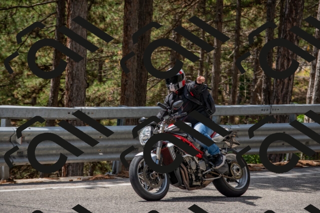 202508231306-DSC_6884_c4_