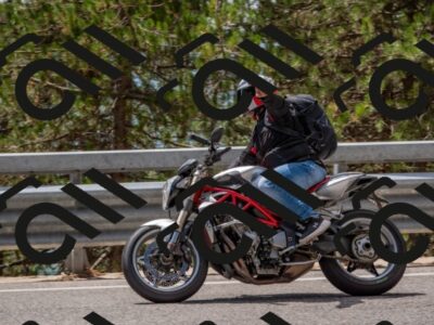 202508231306-DSC_6885_c4_