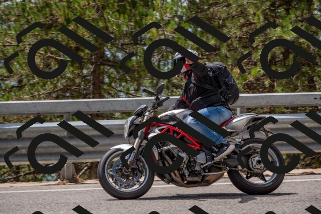 202508231306-DSC_6885_c4_