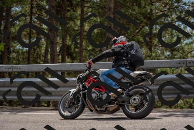 202508231306-DSC_6886_c4_