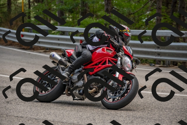 202508231308-DSC_6890_c4_