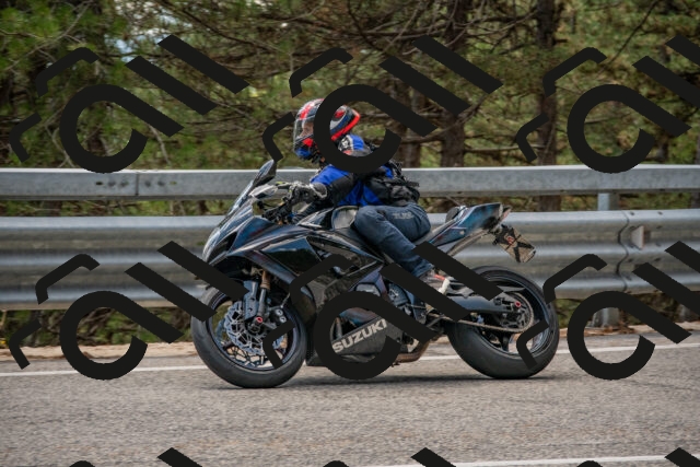 202508231308-DSC_6893_c4_