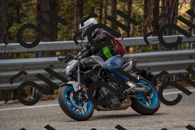 202508231308-DSC_6897_c4_