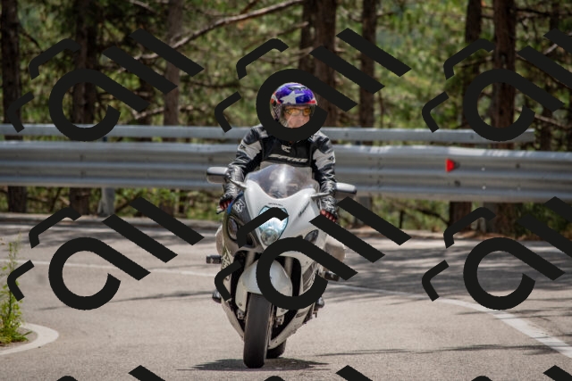 202508231309-DSC_6900_c4_