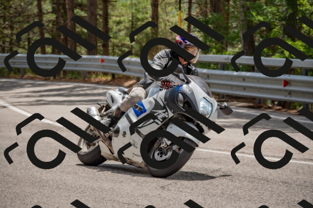 202508231309-DSC_6902_c4_