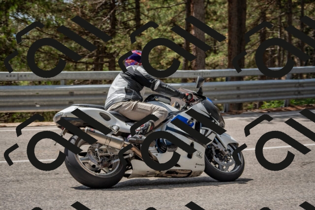 202508231309-DSC_6904_c4_