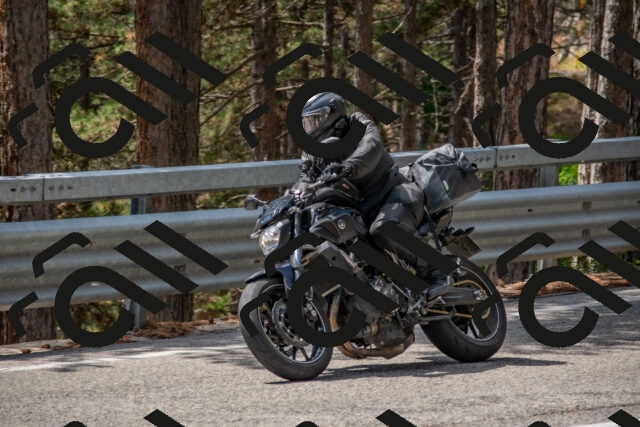 202508231310-DSC_6905_c4_