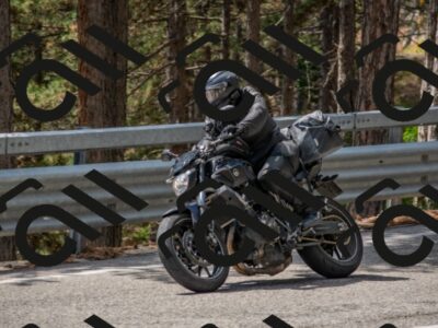 202508231310-DSC_6905_c4_