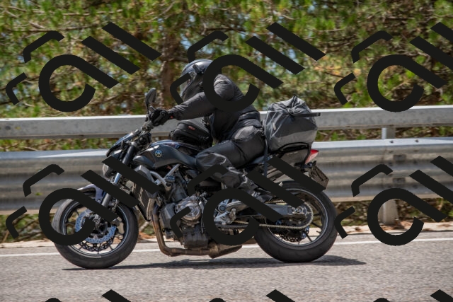 202508231310-DSC_6906_c4_