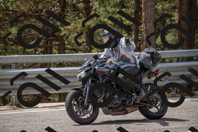 202508231310-DSC_6908_c4_