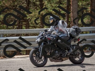 202508231310-DSC_6908_c4_