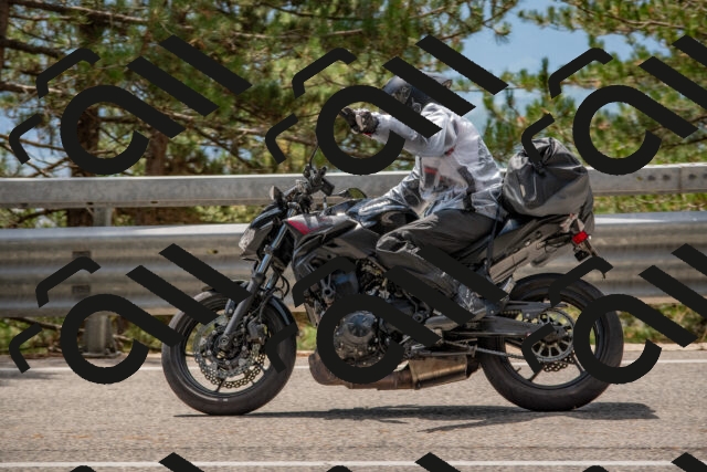 202508231310-DSC_6909_c4_