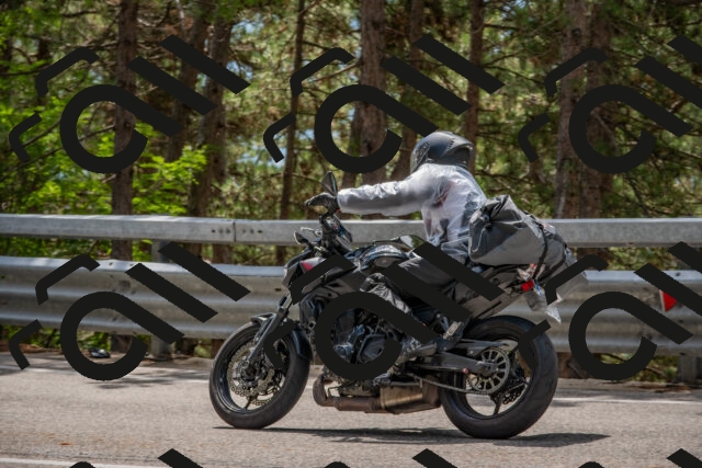 202508231310-DSC_6910_c4_