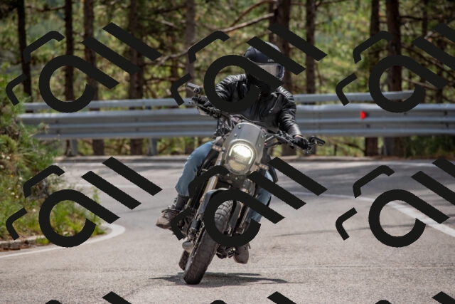 202508231311-DSC_6912_c4_