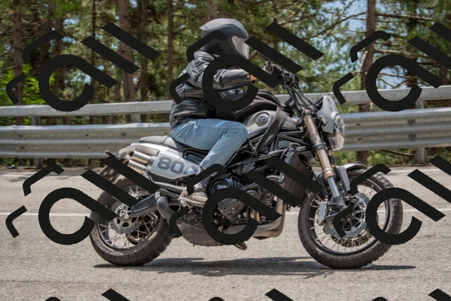 202508231311-DSC_6914_c4_