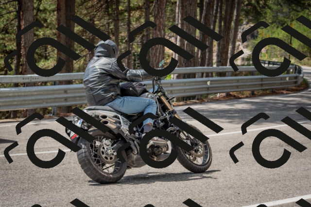 202508231311-DSC_6915_c4_