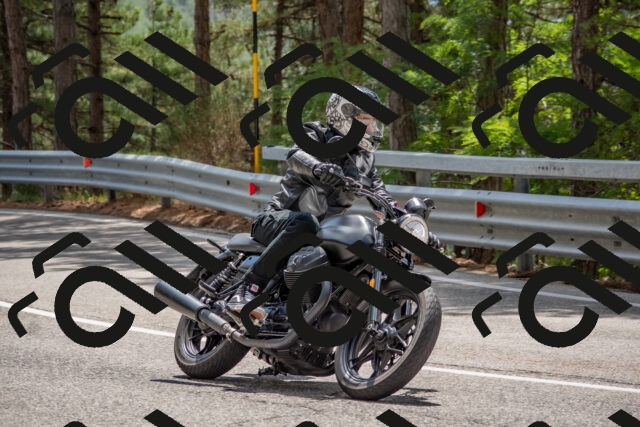 202508231311-DSC_6916_c4_